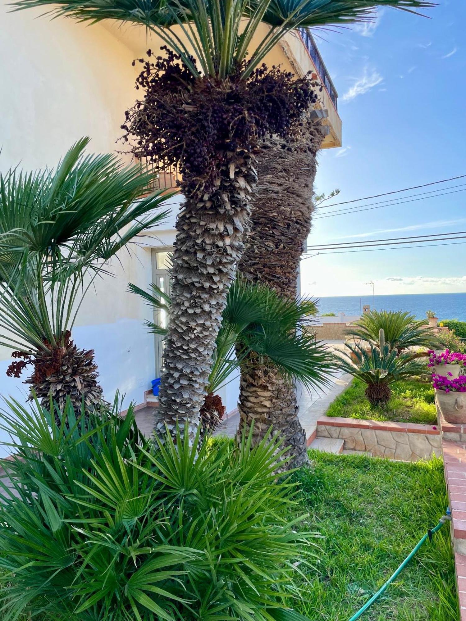 Villa Sul Mare Palazzolo Трапето Екстериор снимка